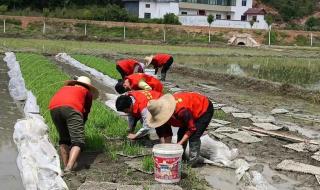 北京朝阳区距离江西赣州兴国县有多远 江西省赣州市兴国县